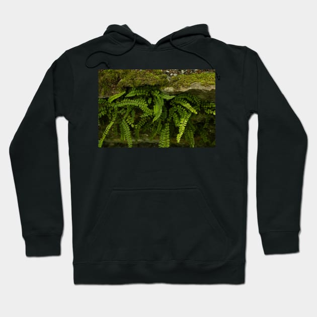 Cute wild plants Hoodie by Drawingbreaks